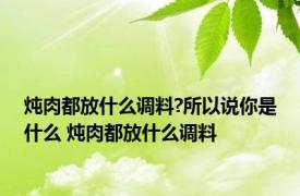 炖肉都放什么调料?所以说你是什么 炖肉都放什么调料