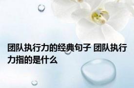 团队执行力的经典句子 团队执行力指的是什么