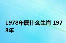 1978年属什么生肖 1978年 