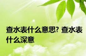 查水表什么意思? 查水表什么深意