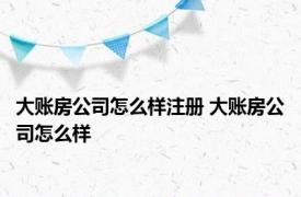 大账房公司怎么样注册 大账房公司怎么样 