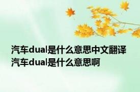 汽车dual是什么意思中文翻译 汽车dual是什么意思啊 