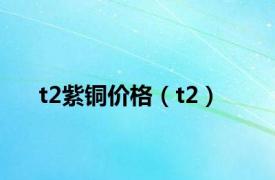 t2紫铜价格（t2）