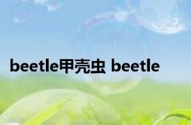 beetle甲壳虫 beetle 