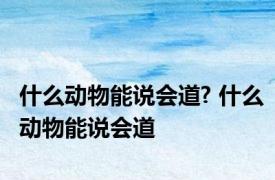 什么动物能说会道? 什么动物能说会道