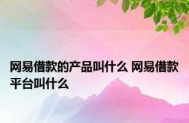 网易借款的产品叫什么 网易借款平台叫什么