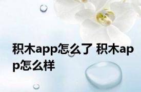 积木app怎么了 积木app怎么样 