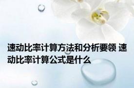 速动比率计算方法和分析要领 速动比率计算公式是什么