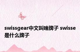 swissgear中文叫啥牌子 swisse是什么牌子 