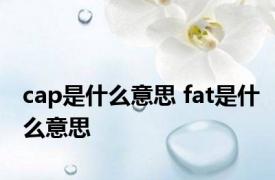 cap是什么意思 fat是什么意思