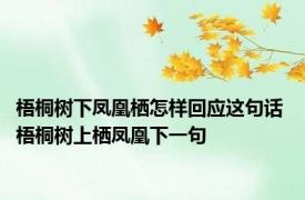 梧桐树下凤凰栖怎样回应这句话 梧桐树上栖凤凰下一句