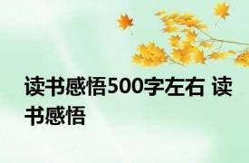 读书感悟500字左右 读书感悟