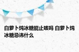 白萝卜炖冰糖能止咳吗 白萝卜炖冰糖忌讳什么 