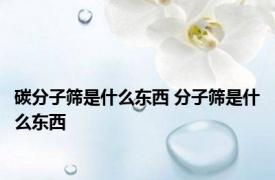 碳分子筛是什么东西 分子筛是什么东西