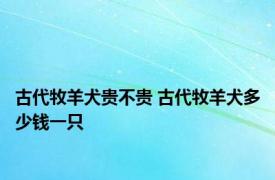 古代牧羊犬贵不贵 古代牧羊犬多少钱一只 