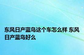 东风日产蓝鸟这个车怎么样 东风日产蓝鸟好么