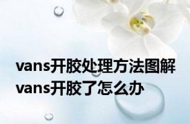 vans开胶处理方法图解 vans开胶了怎么办