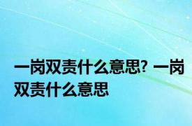 一岗双责什么意思? 一岗双责什么意思