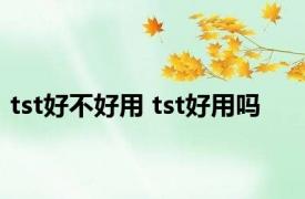 tst好不好用 tst好用吗 