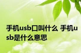 手机usb口叫什么 手机usb是什么意思