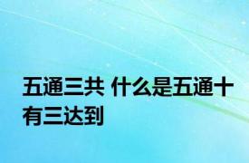 五通三共 什么是五通十有三达到