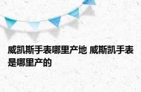 威凯斯手表哪里产地 威斯凯手表是哪里产的