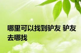 哪里可以找到驴友 驴友去哪找