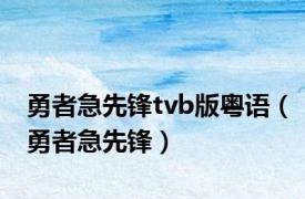 勇者急先锋tvb版粤语（勇者急先锋）