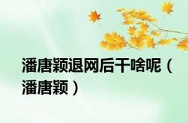 潘唐颖退网后干啥呢（潘唐颖）