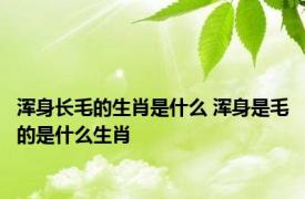 浑身长毛的生肖是什么 浑身是毛的是什么生肖