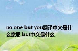 no one but you翻译中文是什么意思 but中文是什么