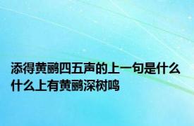 添得黄鹂四五声的上一句是什么 什么上有黄鹂深树鸣