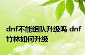 dnf不能组队升级吗 dnf竹林如何升级