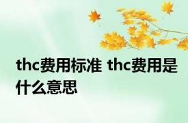 thc费用标准 thc费用是什么意思