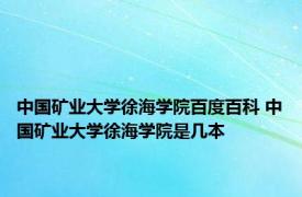 中国矿业大学徐海学院百度百科 中国矿业大学徐海学院是几本