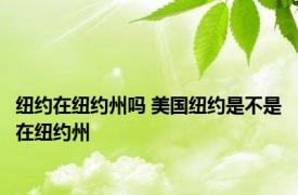 纽约在纽约州吗 美国纽约是不是在纽约州