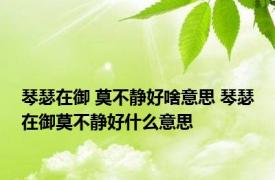 琴瑟在御 莫不静好啥意思 琴瑟在御莫不静好什么意思