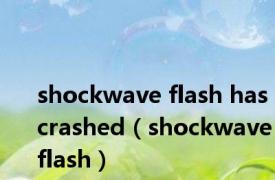 shockwave flash has crashed（shockwave flash）