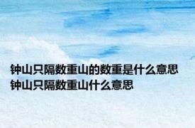 钟山只隔数重山的数重是什么意思 钟山只隔数重山什么意思