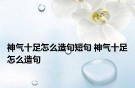 神气十足怎么造句短句 神气十足怎么造句