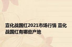 宣化战国红2021市场行情 宣化战国红有哪些产地