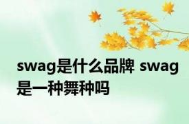 swag是什么品牌 swag是一种舞种吗