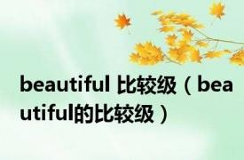 beautiful 比较级（beautiful的比较级）