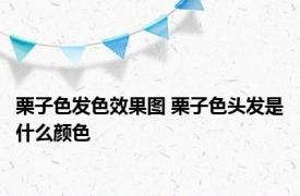 栗子色发色效果图 栗子色头发是什么颜色