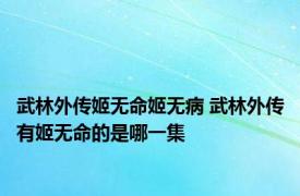 武林外传姬无命姬无病 武林外传有姬无命的是哪一集