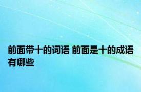 前面带十的词语 前面是十的成语有哪些