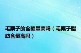 毛栗子的含糖量高吗（毛栗子脂肪含量高吗）