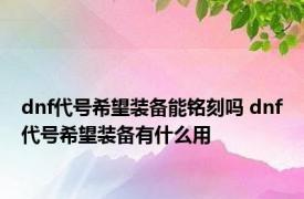 dnf代号希望装备能铭刻吗 dnf代号希望装备有什么用