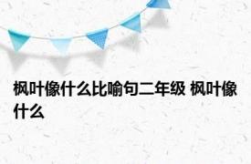 枫叶像什么比喻句二年级 枫叶像什么 