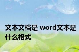 文本文档是 word文本是什么格式